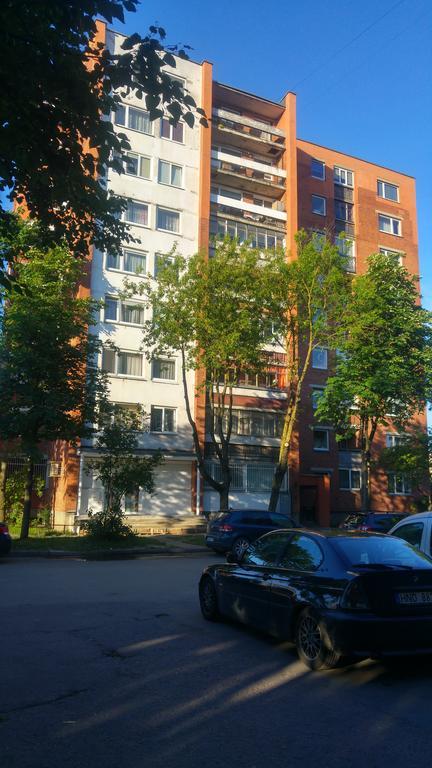 Gina'S Apartment Partizanu G Kaunas Exteriör bild